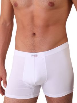 TF Bambu Boxer